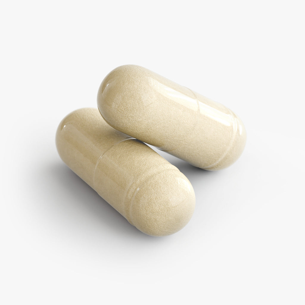 GutFuel – Gut Health