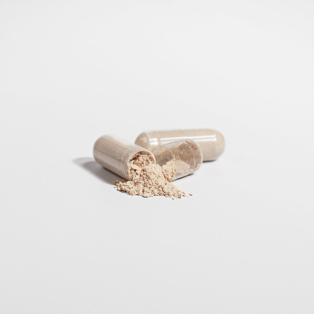 NeuroFuel – Lion’s Mane Mushroom