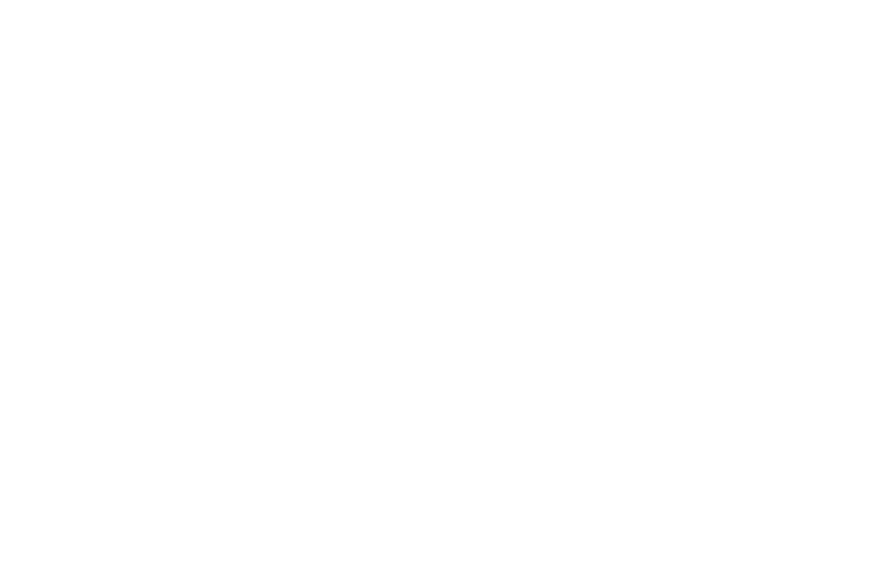 IronFuel Lab